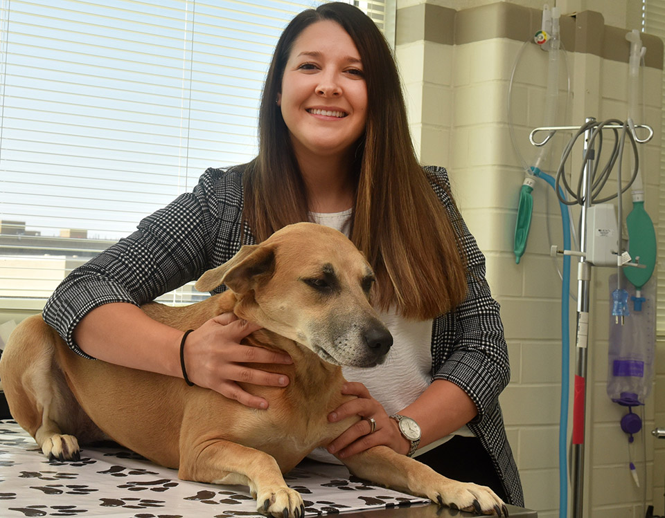 Jessica Salazar Garza’s article in Texas Veterinarian magazine outlines the role accredited programs such as Blinn’s play in preparing students for licensure