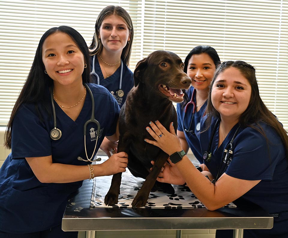 Association of Veterinary Technician Educators recognizes Blinn for its collaboration, creativity, and commitment to student success